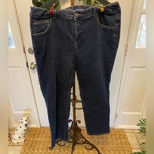 Bandolino Mandie Dark Wash Straight Jeans 18WS 18 Short